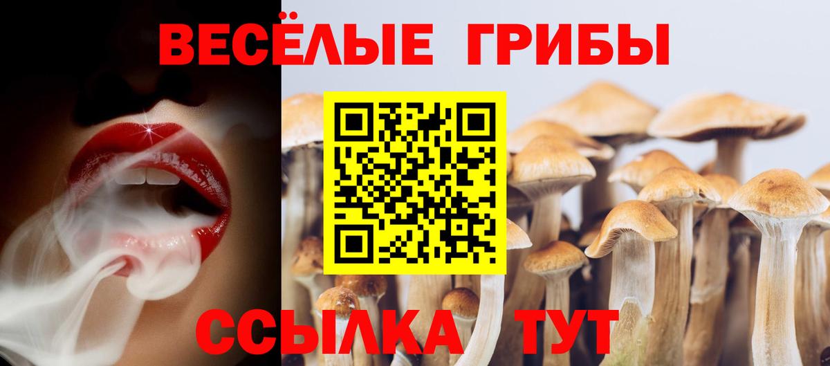 Архангельск  Галлюциногенные грибы мицелий  Вход с VPN 
